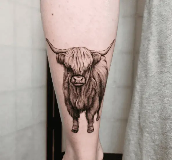 Sketch Style Highland Cow Tattoo