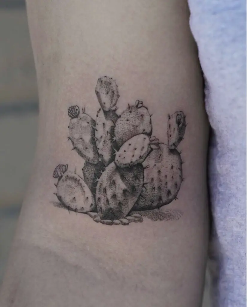 Black and Grey Cactus Plant Arm Tattoo