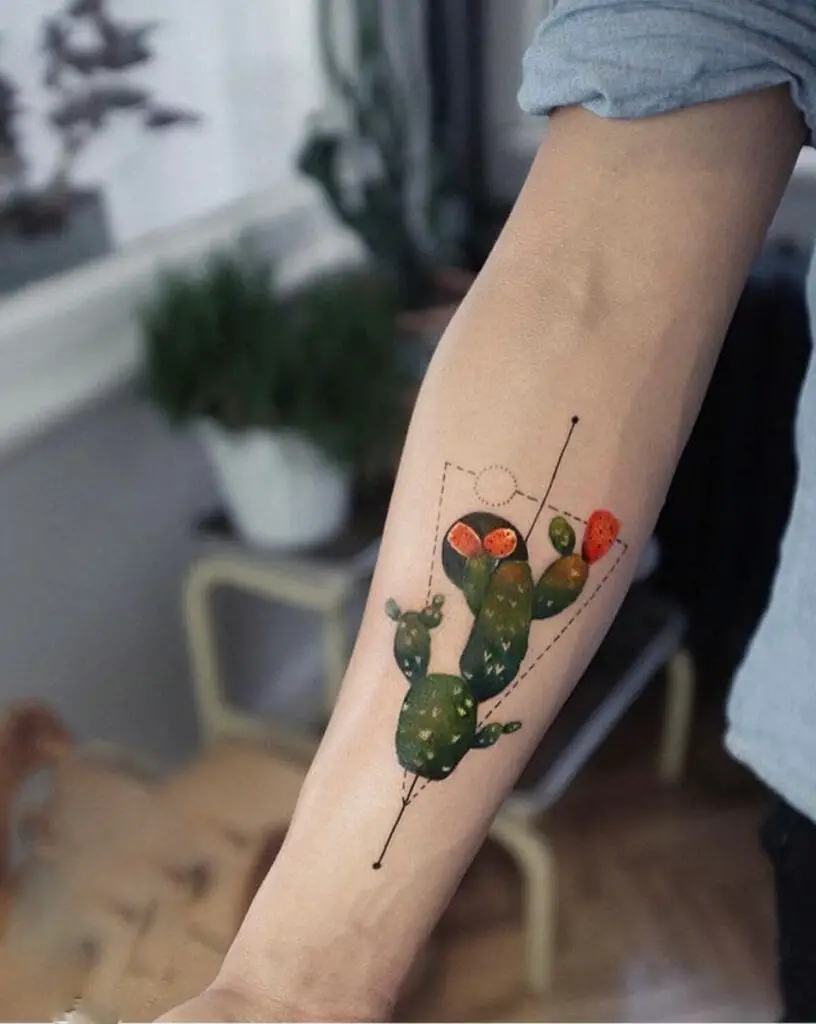 Colored Cactus With Geometric Lines Arm Tattoo