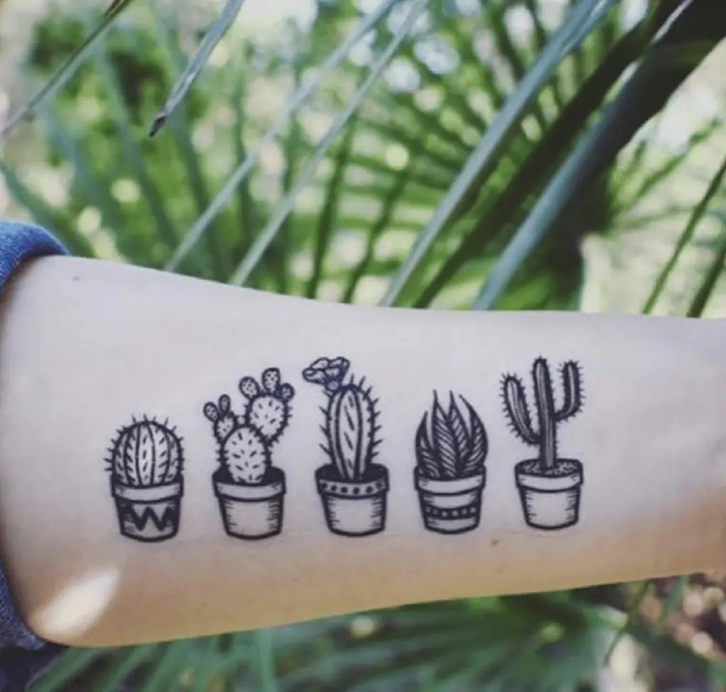 Different Kinds of Potted Cactus Arm Tattoo