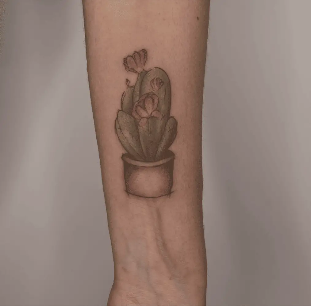 Minimalist Colored Cactus Flower Arm Tattoo