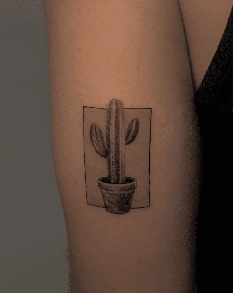 Whip Shade Cactus in Outline Box Arm Tattoo