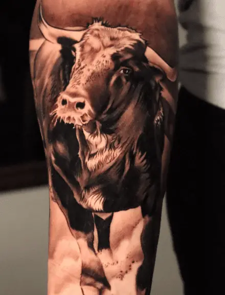 Monochrome Forearm Bull Tattoo