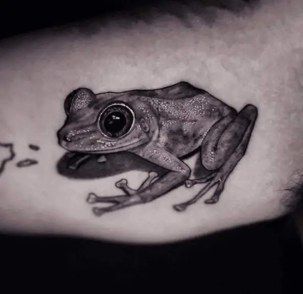 Realistic Big Eyed Frog Tattoo