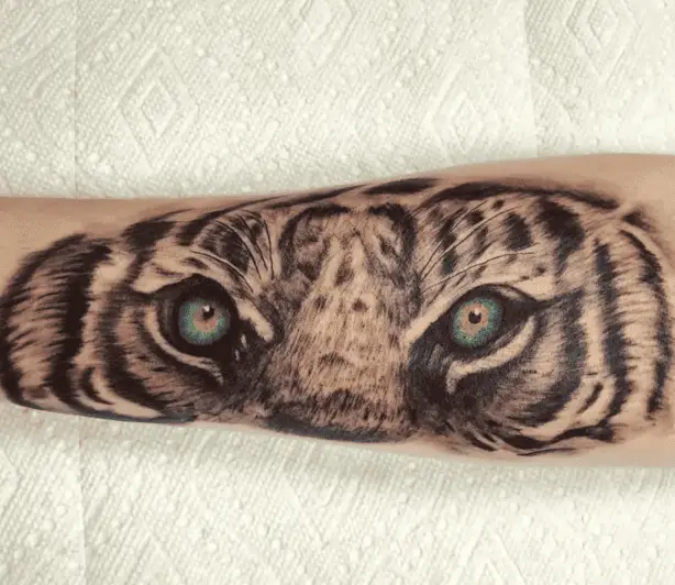 Realistic Tiger Orange and Blue Eyes Arm Tattoo