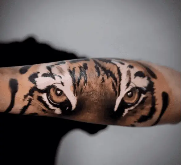 Colored Realistic Tiger Eye Arm Tattoo