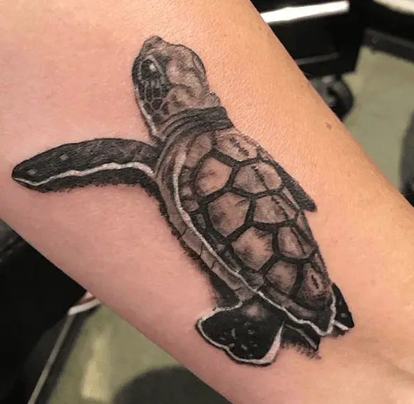 Portrait Style Baby Sea Turtle Tattoo