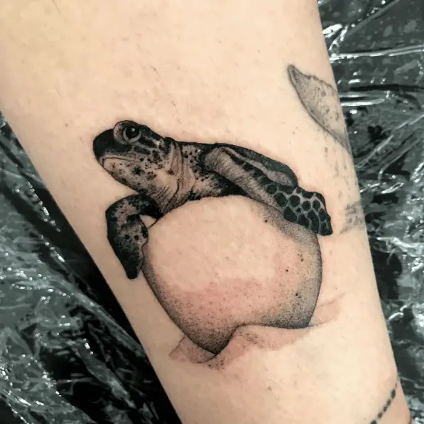Sketch Style Baby Sea Turtle on the Egg Tattoo