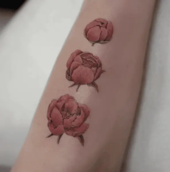 Peony Flower Life Stage Forearm Tattoo