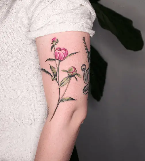 Peony Flower Buds Arm Tattoo