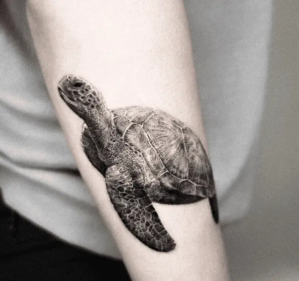 Real Looking Sea Turtle Tattoo