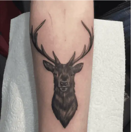 Realistic Male Deer Arm Tattoo