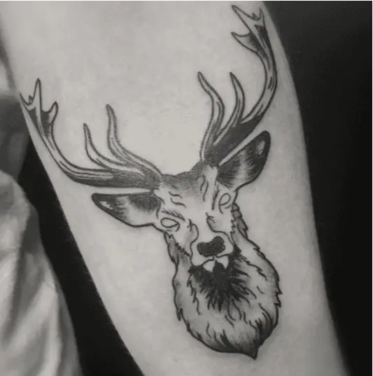 Large Antlers of Deer Arm Tattoo