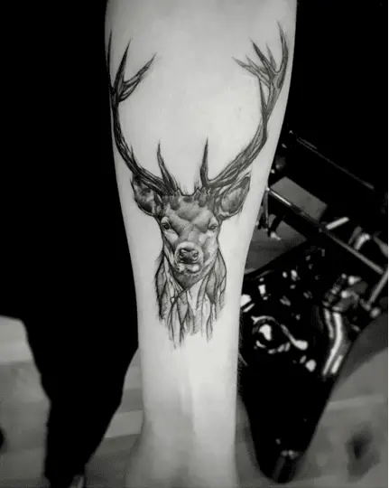 Portrait of a Male Deer Arm Tattoo