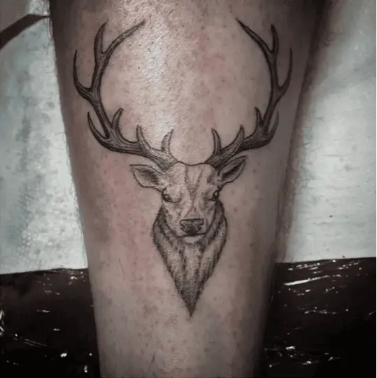 A Male Deer Head Leg Tattoo