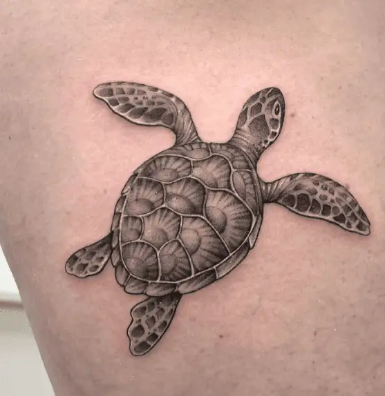 Greyscale Sea Turtle Tattoo