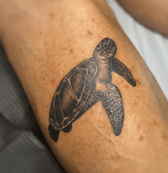 Patterned Sea Turtle Tattoo