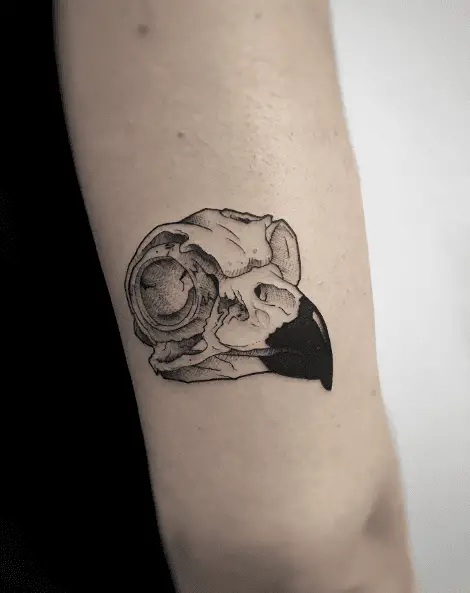 Black and Grey Tiny Owl Skull Tattpp