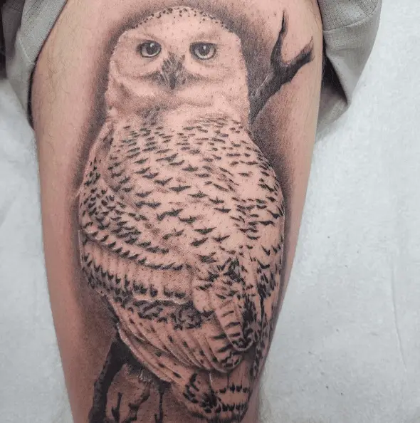 Snowy Owl with Tiny Black Birds Tattoo