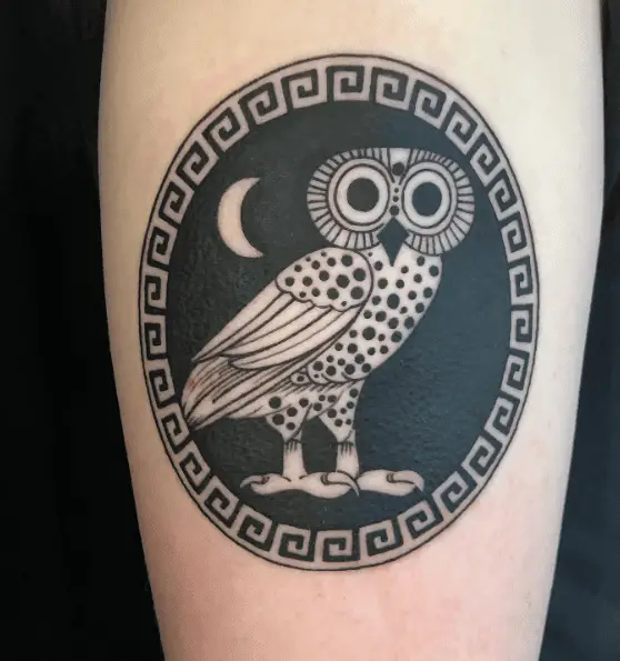 Athena Owl Based On Ancient Greek Red Figure Pottery Tattoo