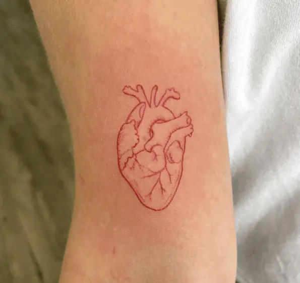 Red Ink Organ Heart Tattoo