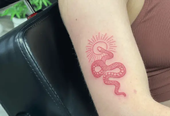 Little Red Snake with Sun Arm Tattoo