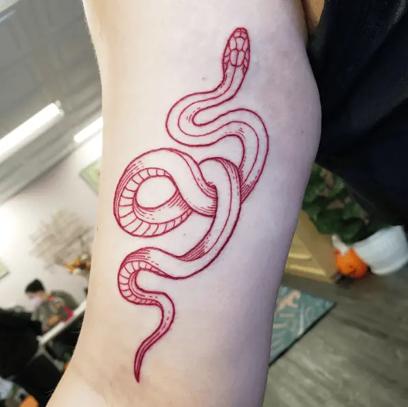 Red Ink Large Snake Arm Tattoo