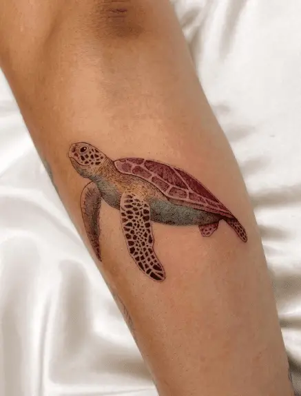 Colored Magical Sea Turtle Tattoo