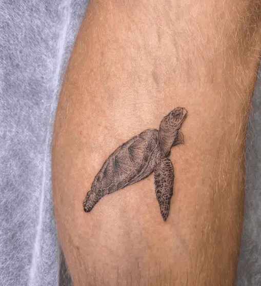 Patterned Sea Turtle Tattoo