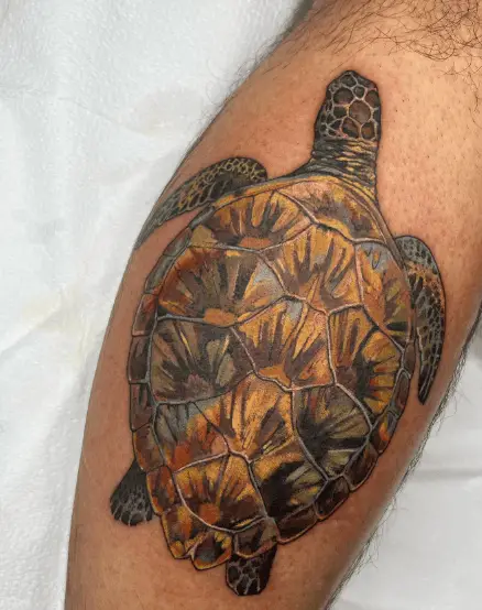 Colorful Sea Turtle Calf Tattoo
