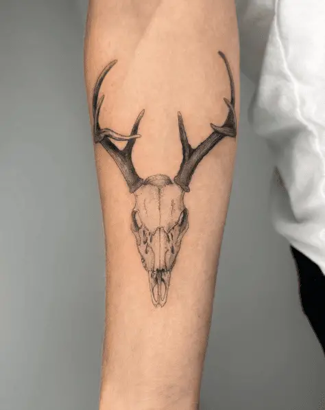 Deer Skull Forearm Tattoo