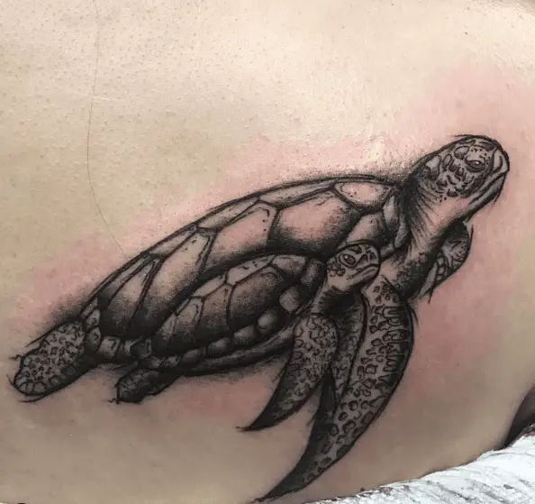 Sketch Style Mother and Baby Turtle Tattoo