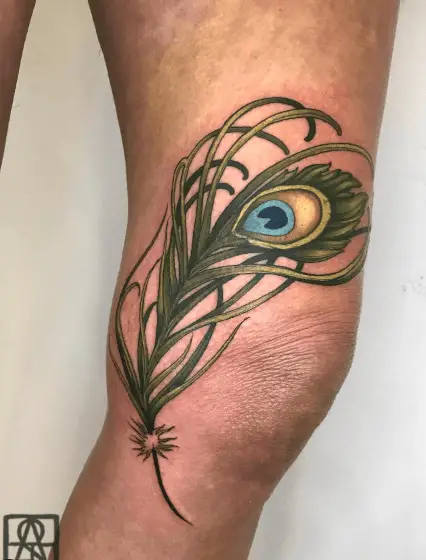 Grass Type Peacock Feather Knee Tattoo