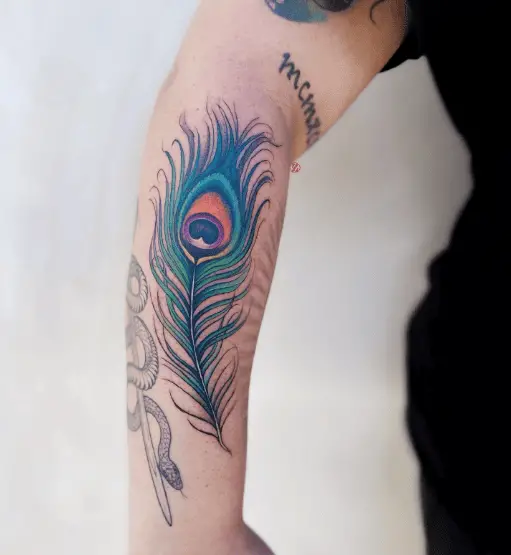Bright Colored Peacock Feather Forearm Tattoo