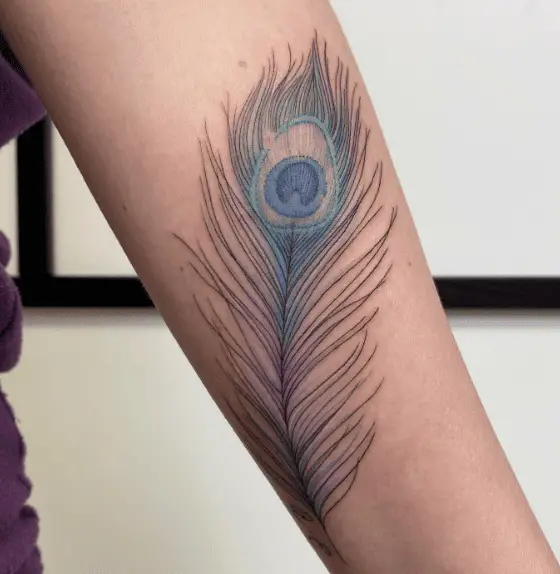 Subtle Colored Peacock Feather Tattoo