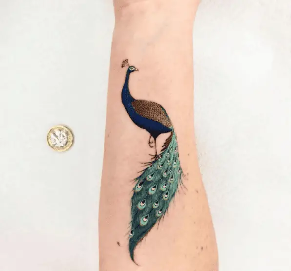 Realistic Vibrant Colored Peacock Forearm Tattoo