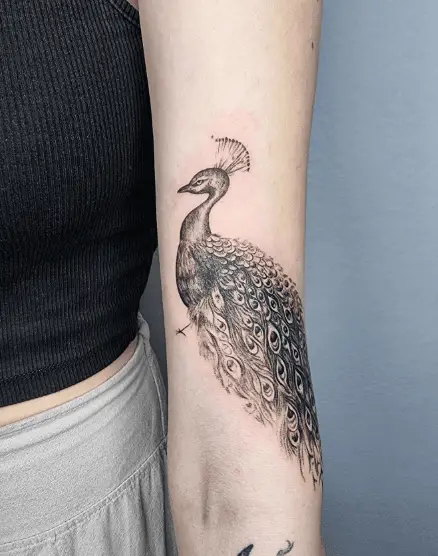 Peacock Tattoo with Expressive Feathers with Fine Lines and Shading
