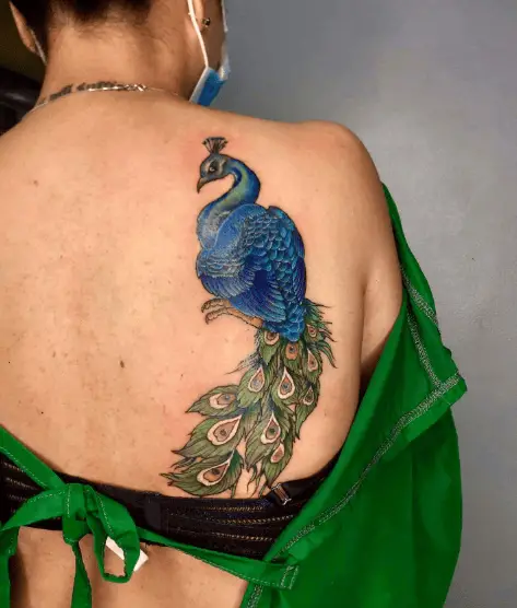 Vibrant Blue and Green Peacock Back Tattoo