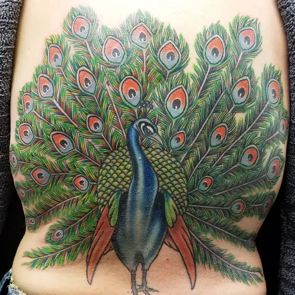 Multicolored Open Feather Peacock Tattoo