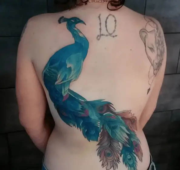 Mix Colored Peacock Back Tattoo
