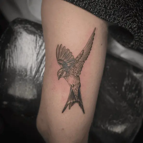Swallow Bird Tricep Tattoo
