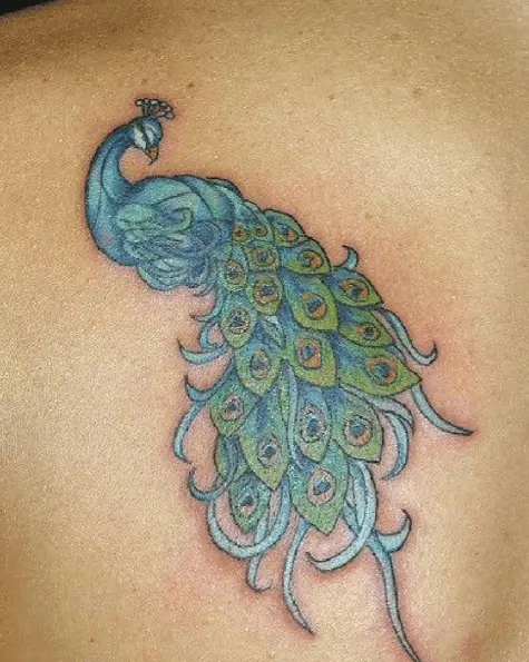 Ice Blue Peacock and Green Feathers Tattoo
