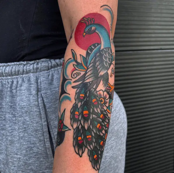 Grey and Colored Traditional Peacock Forearm Tattoo