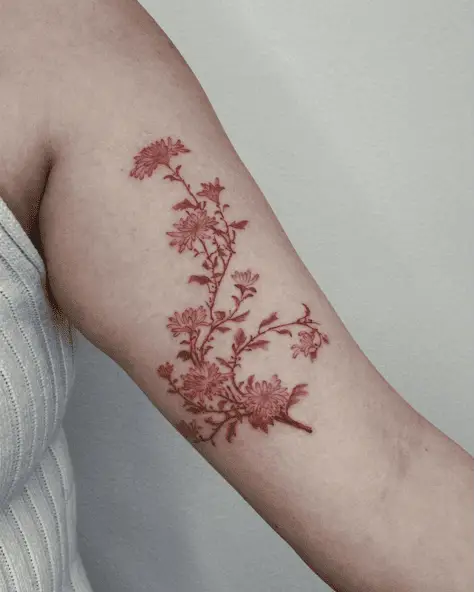 Red Wild Chrysanthemum Flower Upper Arm Tattoo