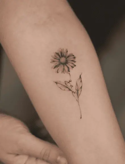 Black and Grey Single Wild Chrysanthemum Flower Arm Tattoo