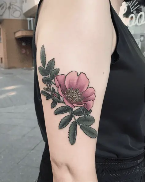 Colored Pink Wild Roses Shoulder Tattoo