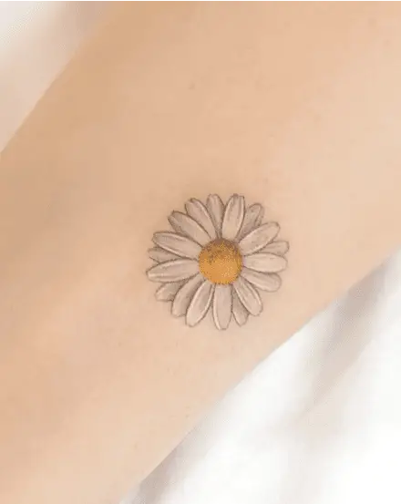 Colored Daisy Flower Head Arm Tattoo