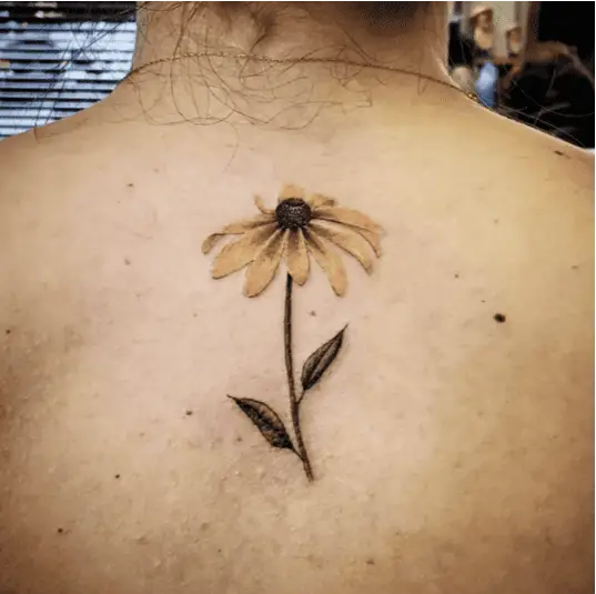 Colored Realistic Black Eyed Susan Back Tattoo