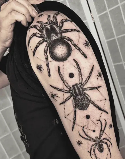 Tarantula, Wolf Spider, Orb Weaver, Barn and Jumping Spiders Arm Tattoo