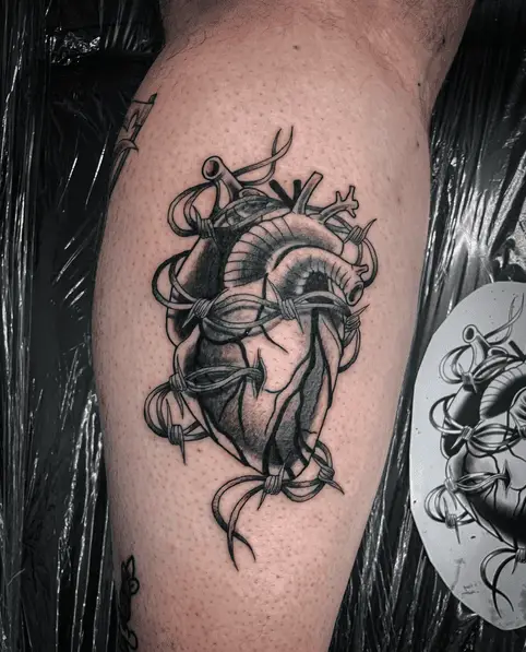 Anatomical Heart Wrapped with Barbe Wire Tattoo